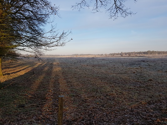 Klompenpad-Molenbeeksepad-2 Landschap bij Wolfheze op een wandeling over Klompenpad Molenbeeksepad bij Wolfheze