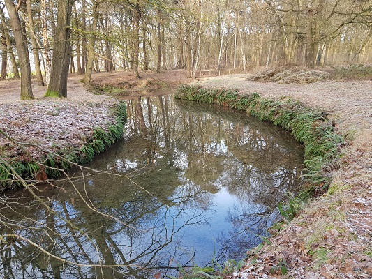 Klompenpad-Molenbeeksepad-20 Wolfhezerbeek op een wandeling over Klompenpad Molenbeeksepad bij Wolfheze
