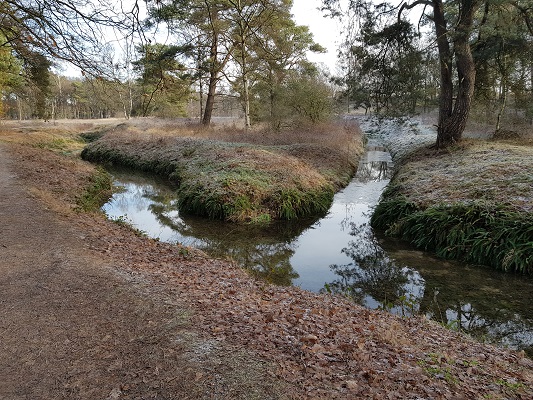 Klompenpad-Molenbeeksepad-21 Wolfhezerbeek op een wandeling over Klompenpad Molenbeeksepad bij Wolfheze