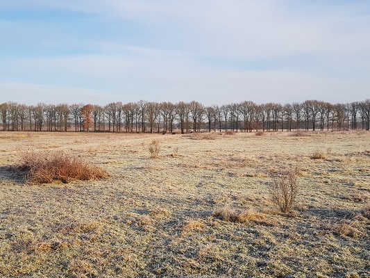 Klompenpad-Molenbeeksepad-4 Duitse Kampweg Wolfheze op een wandeling over Klompenpad Molenbeeksepad bij Renkum