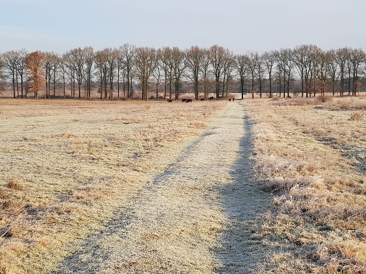 Duitse Kampweg Wolfheze op een wandeling over Klompenpad Molenbeeksepad bij Renkum