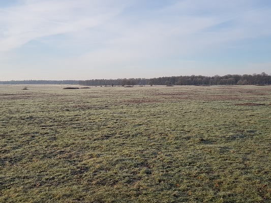 De Renkumse Heide op een wandeling over Klompenpad Molenbeeksepad bij Renkum