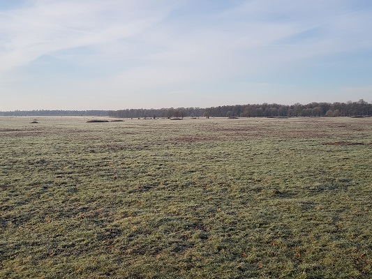Klompenpad-Molenbeeksepad-8 De Renkumse Heide op een wandeling over Klompenpad Molenbeeksepad bij Renkum