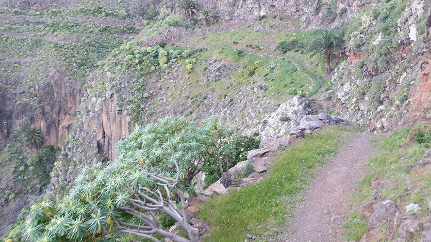 Wandelpad naar Alojera Valle Gran Rey Wandelpad hoog boven Barranco de Erque tijdens wandeling op een wandelvakantie op La Gomera op de Canarische Eilanden