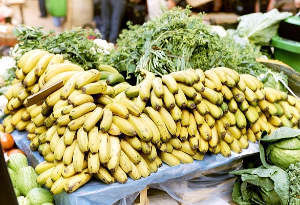 Bananen op markt bij Canicaltunnel op wandelvakantie op Portugees eiland bloemeneiland Madeira