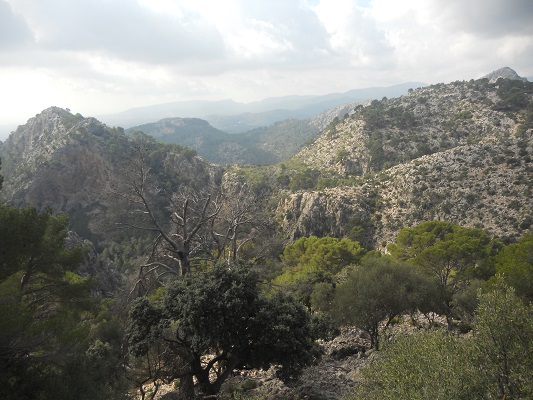 Landschap bij Alqeria op wandelvakantie in Tramuntanagebergte op Spaans eiland Mallorca
