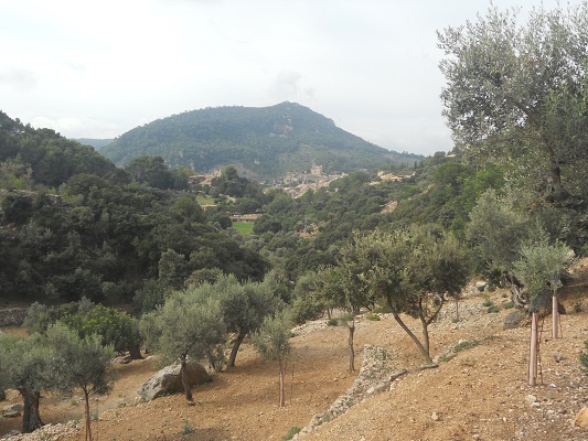 Landschap op wandeling tussen Bunyola en Alqeria op wandelvakantie in Tramuntanagebergte op Spaans eiland Mallorca