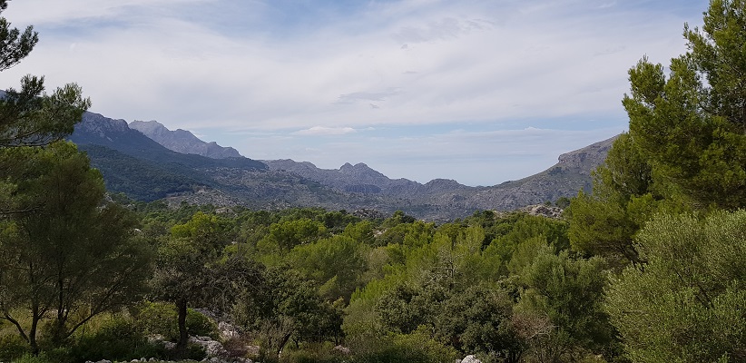 Landschap bij Port de Soller op wandelvakantie in Tramuntanagebergte op Spaans eiland Mallorca