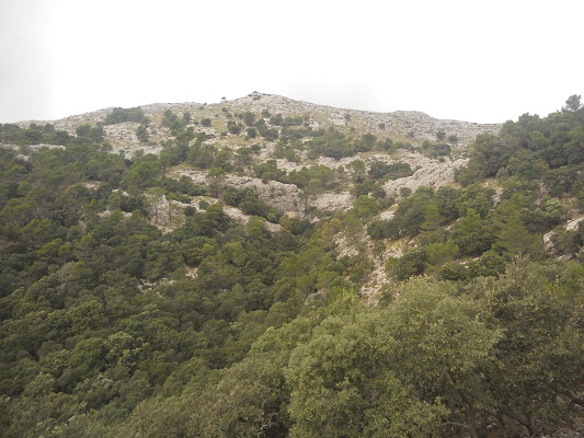 Bergen bij Valledemossa op wandelvakantie in Tramuntanagebergte op Spaans eiland Mallorca