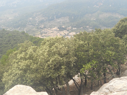 Landschap bij Valledemossa op wandelvakantie in Tramuntanagebergte op Spaans eiland Mallorca