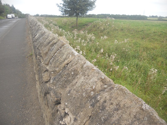 Muurresten op een wandeling van Wallsend naar Heddon on Wall op een wandelreis over de Muur van Hadrianus in Engeland