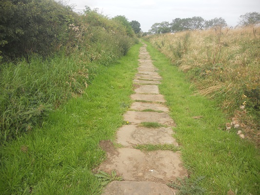 Wandelpad op een wandeling van Wallsend naar Heddon on Wall op een wandelreis over de Muur van Hadrianus in Engeland