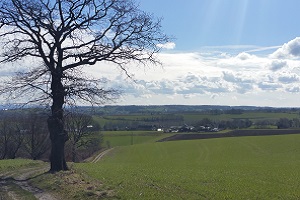 Landschap bij Remersdaal tijdens een wandeling van Rondom Zuid-Limburg, Gegarandeerd Onregelmatig, van Noorbeek naar Moresnet in België