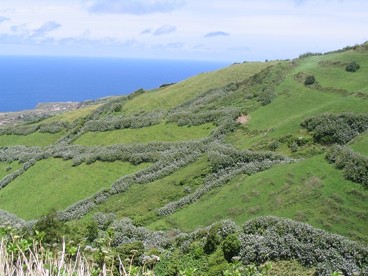 Landschap en percelen bij Sete Cidades tijdens een wandelvakantie op eiland Sao Miguel op de Azoren