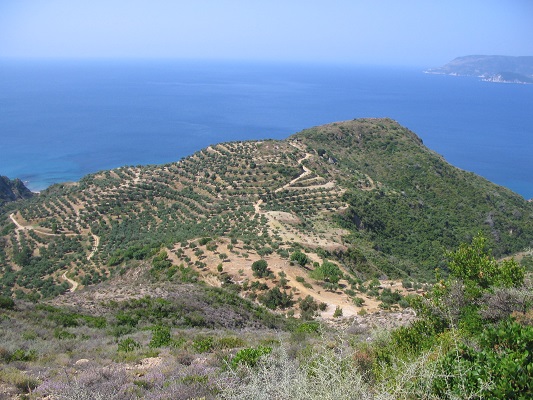 Zicht op olijfboomgaarden in Skoposmassief en Middelandse Zee tijdens wandelvakantie op Grieks eiland Zakynthos