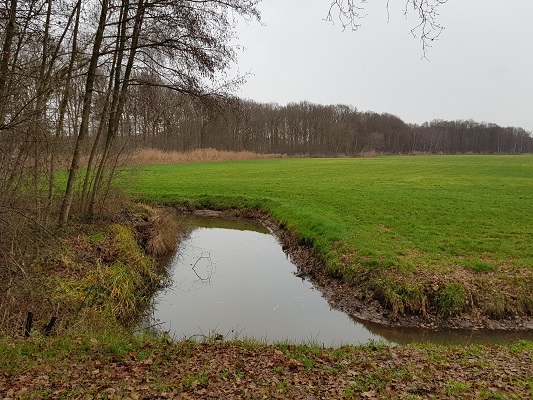 Linie den Hout tijdens een wandeling over het Zuiderwaterliniepad van Terheijden naar Oosterhout