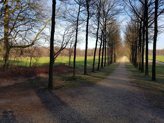 NS-wandeling-Landgoed-Groeneveld-10 Bomen en vijver op landgoed Groeneveld tijdens een NS-wandeling Landgoed Groeneveld van Baarn naar Hilversum