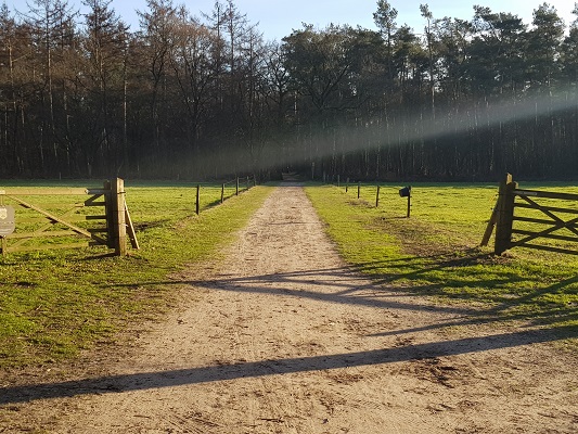 NS-wandeling-Landgoed-Groeneveld-19 Landgoed Groeneveld bij Hoeve Ravenstein tijdens een NS-wandeling Landgoed Groeneveld van Baarn naar Hilversum