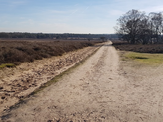 Landweg bij Zuiderheide bij Hilversum tijdens een NS-wandeling Landgoed Groeneveld van Baarn naar Hilversum