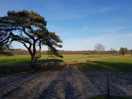 Landgoed Groeneveld tijdens een NS-wandeling Landgoed Groeneveld van Baarn naar Hilversum