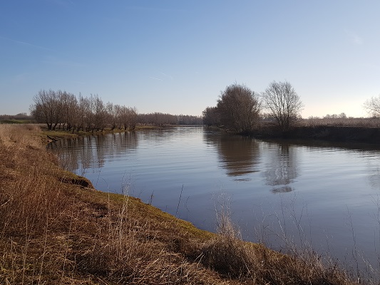 Zijgeul van de Waal in uiterwaarden tijdens wandeling Trage Tocht in Doornenburg