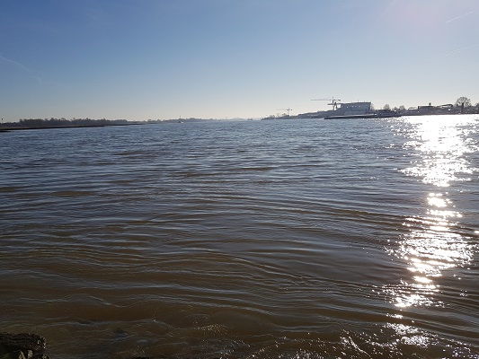 De splitsing van de Rijn naar Waal en Pannerdens Kanaal tijdens wandeling Trage Tocht in Doornenburg