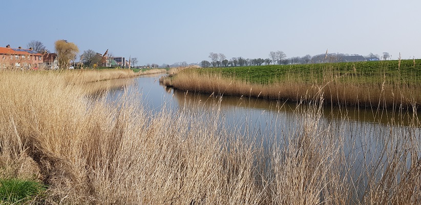 Wandelen over het Noord-Hollandpad van Nieuwesluis naar Den Oever langs het Amstelmeerkanaal