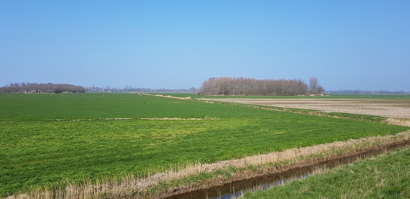 Wandelen over het Noord-Hollandpad van Nieuwesluis naar Den Oever bij polder bij Hippolytushoef