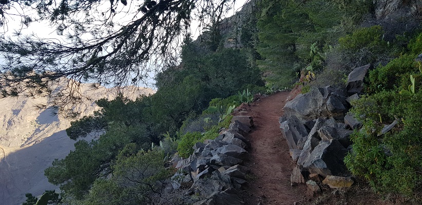 Wandeling op La Gomera van Arure naar Alojera langs duizelingwekkende afgronden aan de noordkust