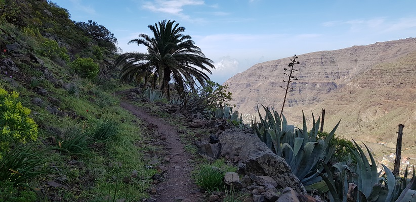 Wandeling van El Cercado naar La Calera door dal van grote Koning