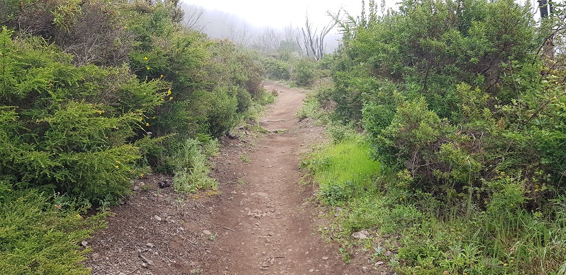 Wandeling van El Cercado naar Chipude via Laguna Grande op Canarisch Eiland La Gomera