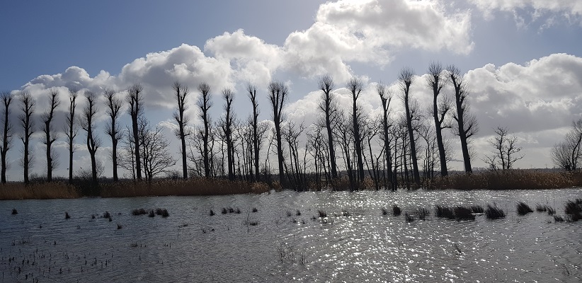 Wandelen over het vernieuwde Waterliniepad door de Noordwaard polder