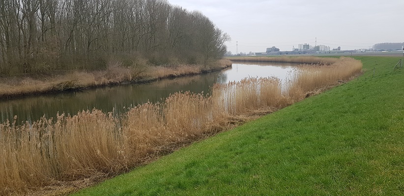 De Donge op een wandeling over de Zuiderwaterlinie van Oosterhout via Geertruidenberg naar Hooipolder