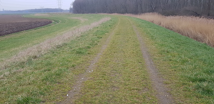 Dijk langs de Donge op een wandeling over de Zuiderwaterlinie van Oosterhout via Geertruidenberg naar Hooipolder