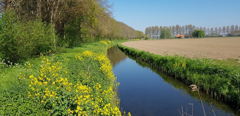 Wandeling over Klompenpad Hamarithapad bij Nederhemert langs de Drielsche Wetering