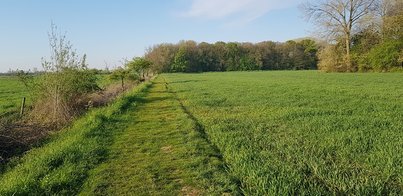 Wandeling over Klompenpad Hamarithapad bij Nederhemert
