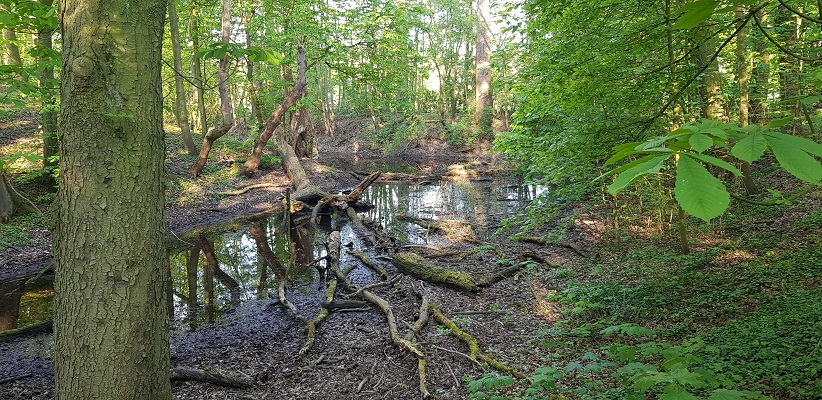 Wandeling over Klompenpad Hamarithapad bij Nederhemert bij schans