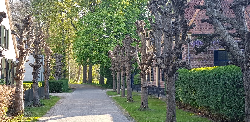 Wandeling over Klompenpad Hamarithapad bij Nederhemert