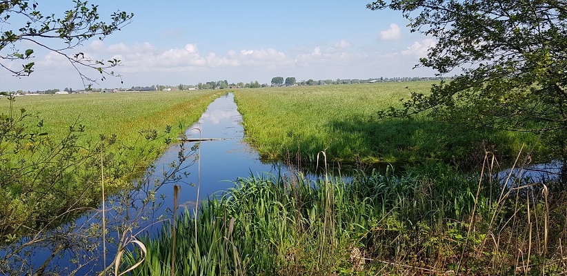 Wandelen over het Romeinse Limespad van Driebruggen naar Woerden