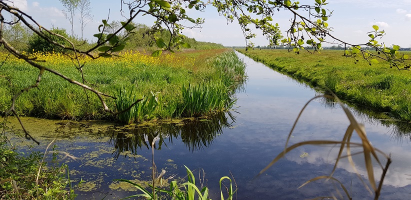 Wandelen over het Romeinse Limespad van Driebruggen naar Woerden