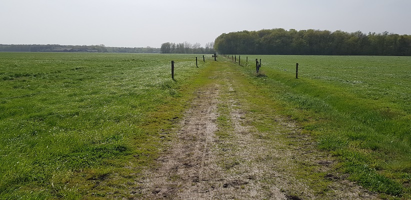 Wandelen langs het Westerborkpad richting Hoogeveen