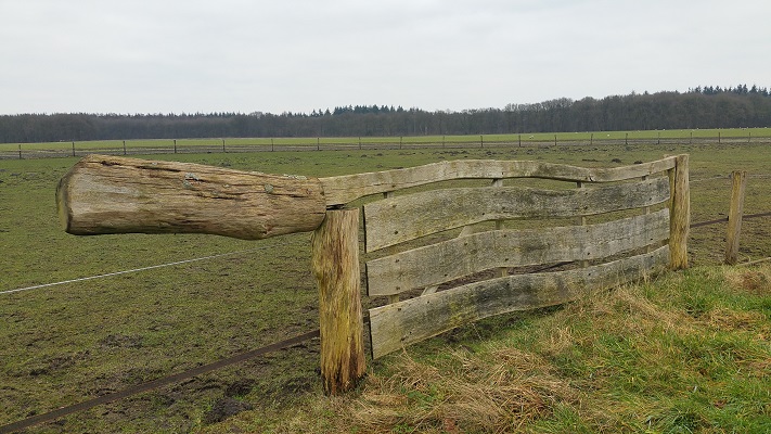 Wandelen over het Westerborkpad van Hooghalen naar Beilen