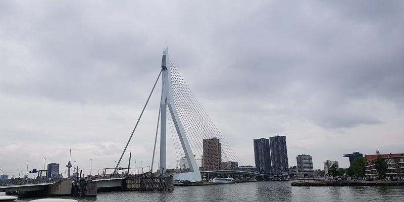 NS-wandeling Rotterdam Maasstad bij de Erasmusbrug de Zwaan
