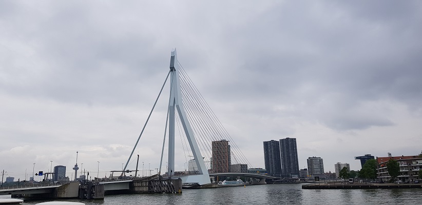 NS-wandeling Rotterdam Maasstad bij de Erasmusbrug de Zwaan