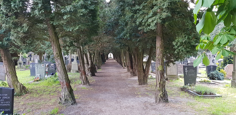 Wandeling van Gegarandeerd Onregelmatig over het Parkstadpad van Wandelen buiten de binnenstad van EIndhoven in het kerkhof in Stratum