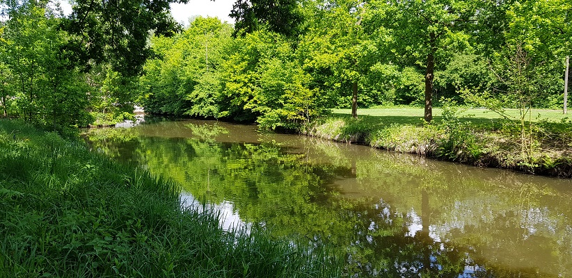 Wandeling van Gegarandeerd Onregelmatig over het Parkstadpad van Wandelen buiten de binnenstad van Eindhoven langs de Dommel