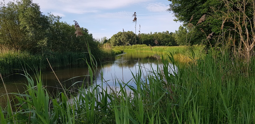 Wandeling over het Dommelpad in Eindhoven