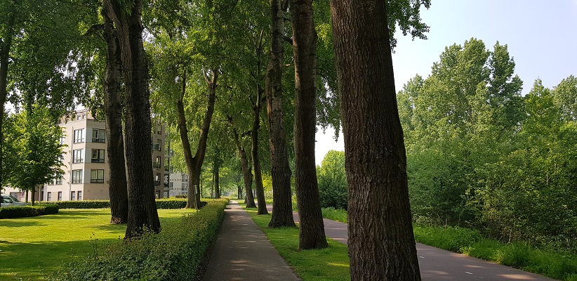 Wandeling buiten de binnenstad van Eindhoven over het Gestelpad