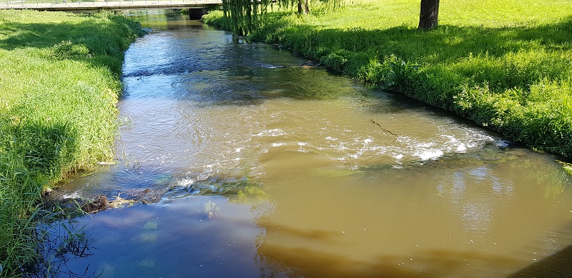 Wandelen buiten de binnenstad van Eindhoven over het Tongelrepad bij de Dommel in EIndhoven