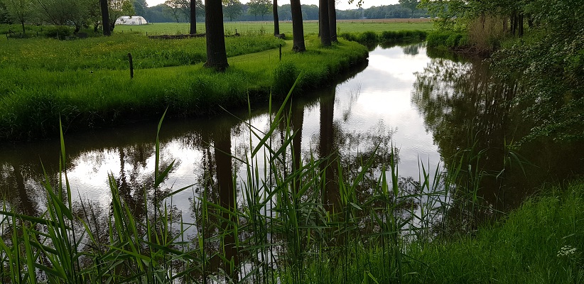 Wandelen buiten de binnenstad van Eindhoven over het Tongelrepad bij de Kleine DOmmel